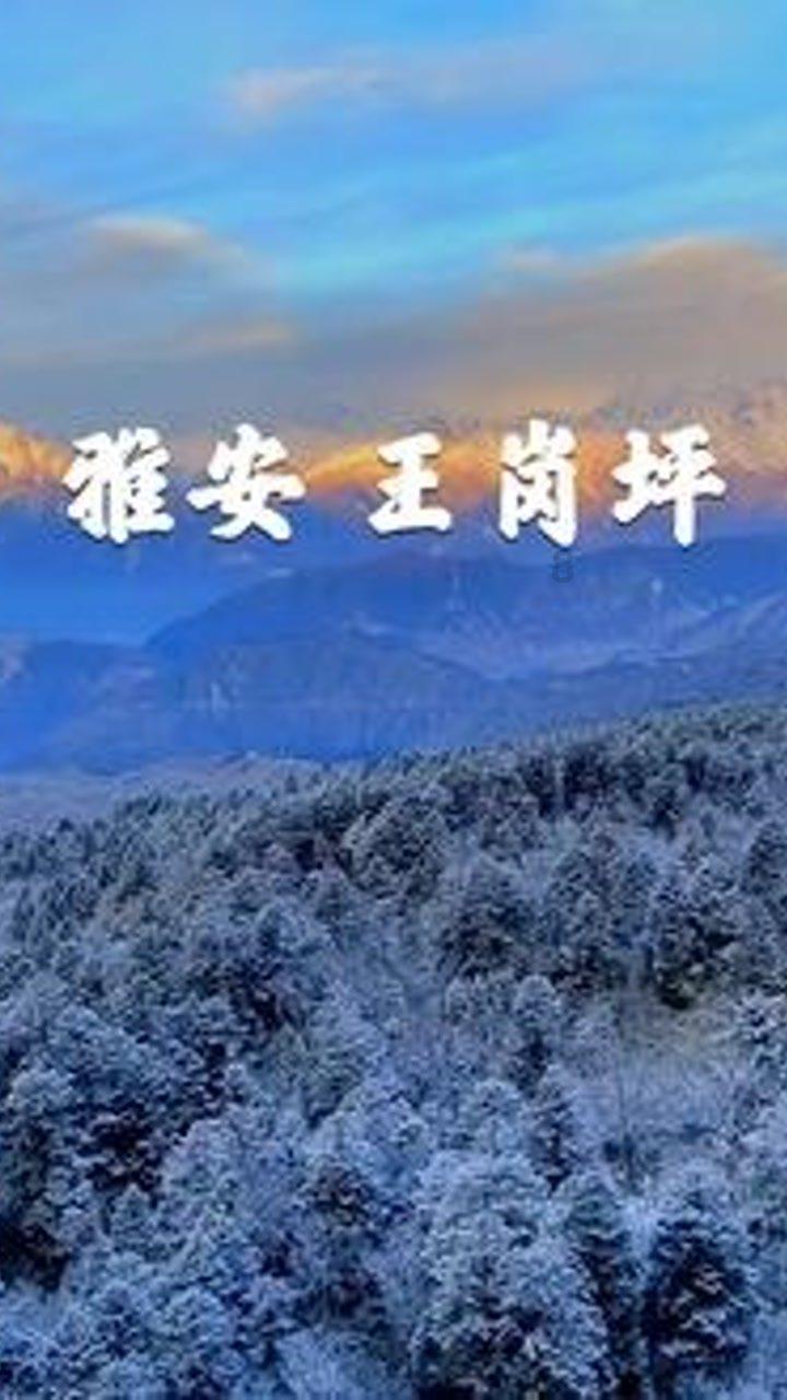 冰汽时代