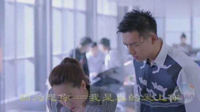 救援小犬立苏