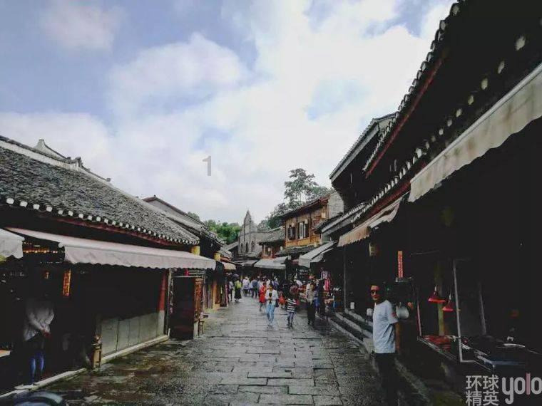 服务犬被学校开除,原因是它太聪明了...主人领养它后:被开除一点都不冤!